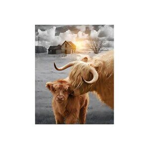 Longhorn Cattle Animal Unframed Canvas Wall Art  16" X 20"